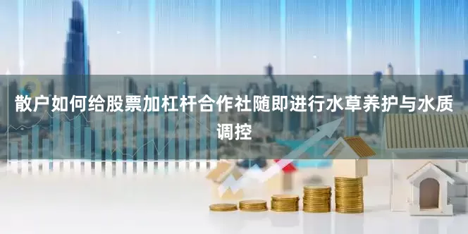 散户如何给股票加杠杆合作社随即进行水草养护与水质调控