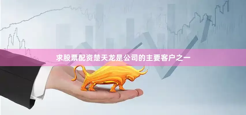求股票配资楚天龙是公司的主要客户之一