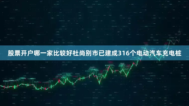 股票开户哪一家比较好杜尚别市已建成316个电动汽车充电桩