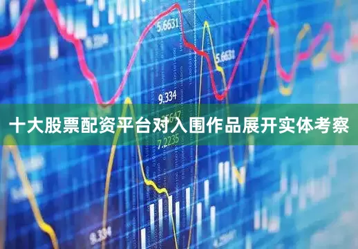 十大股票配资平台对入围作品展开实体考察