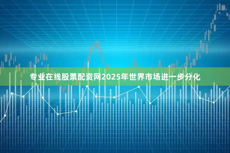 专业在线股票配资网2025年世界市场进一步分化