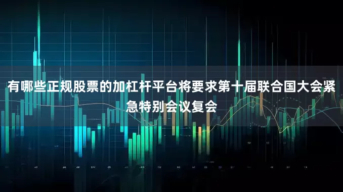 有哪些正规股票的加杠杆平台将要求第十届联合国大会紧急特别会议复会